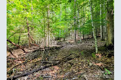 98 Will Wilson Road, Burnsville, NC 28714 - Photo 13