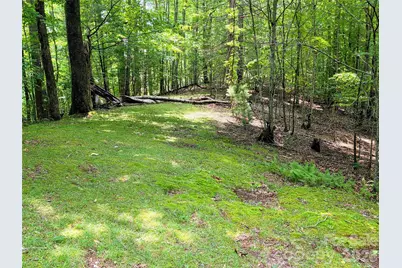 98 Will Wilson Road, Burnsville, NC 28714 - Photo 21