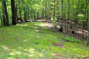 98 Will Wilson Rd, Burnsville, NC 28714 - Photo 21