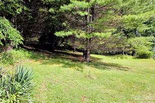 98 Will Wilson Rd, Burnsville, NC 28714 - Photo 9