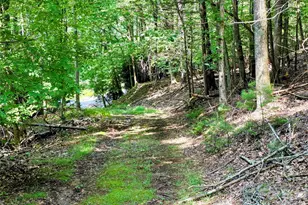 98 Will Wilson Rd, Burnsville, NC 28714 - Photo 11