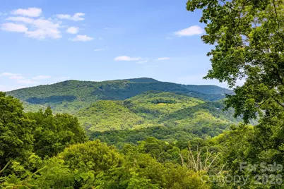 1185 & 1115 Black Bear Drive, Mars Hill, NC 28754 - Photo 5