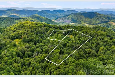 1185 & 1115 Black Bear Drive, Mars Hill, NC 28754 - Photo 47