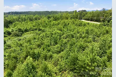 1522 Little Mountain Road, Columbus, NC 28722 - Photo 11