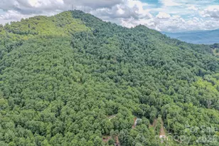23 Tom Worley Rd, Leicester, NC 28748 - Photo 11