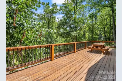 168 Fall Creek Drive, Chimney Rock Village, NC 28720 - Photo 9