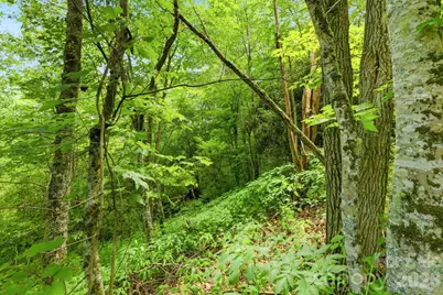 0 Bent Oak Drive #6, Waynesville, NC 28786 - Photo 5