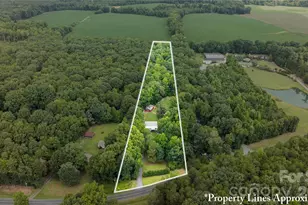 703 Chapel Hill Church Rd, Denton, NC 27239 - Photo 25