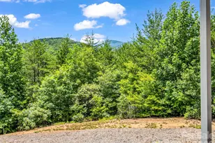 1110 Laughter Rd, Mill Spring, NC 28756 - Photo 31