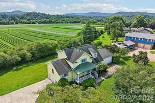 20 Amber Dr, Horse Shoe, NC 28742 - Photo 41