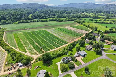 20 Amber Drive, Horse Shoe, NC 28742 - Photo 37