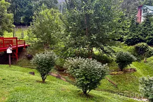 5 Northlake Dr, Weaverville, NC 28787 - Photo 7