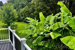 5 Northlake Dr, Weaverville, NC 28787 - Photo 47