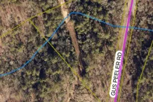 Tbd Gus Peeler Rd, Connelly Springs, NC 28612 - Photo 1