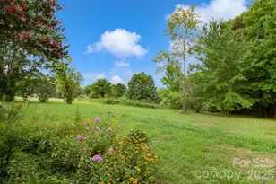 1474 Pea Ridge Rd, Mill Spring, NC 28756 - Photo 23