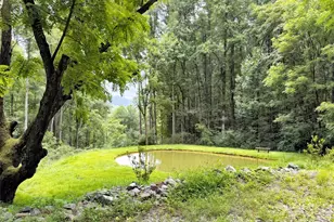 291 Incline Dr Dr, Sylva, NC 28779 - Photo 45