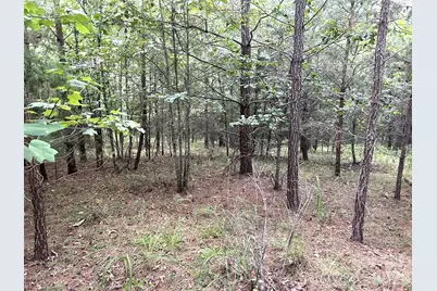 00 Cross Creek Drive #277, Rutherfordton, NC 28139 - Photo 5