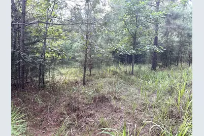 00 Cross Creek Drive #277, Rutherfordton, NC 28139 - Photo 3