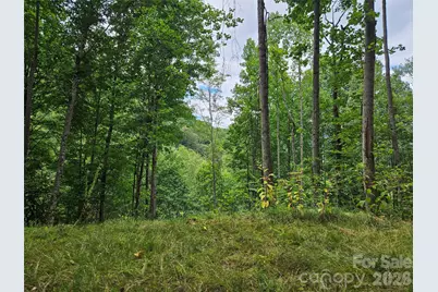 00 Wayward Cove, Clyde, NC 28721 - Photo 7