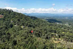 58 Teaberry Ln, Weaverville, NC 28787 - Photo 39