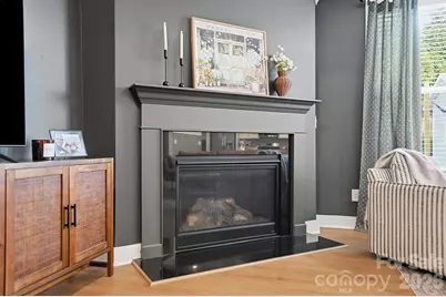 209 Church Street, Mcadenville, NC 28101 - Photo 5