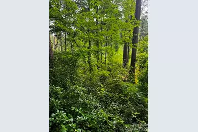 00000 Monticello Road, Weaverville, NC 28787 - Photo 11