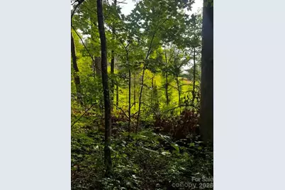 00000 Monticello Road, Weaverville, NC 28787 - Photo 3