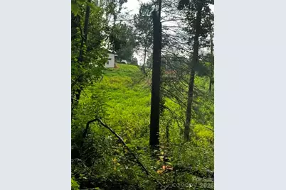 00000 Monticello Road, Weaverville, NC 28787 - Photo 13