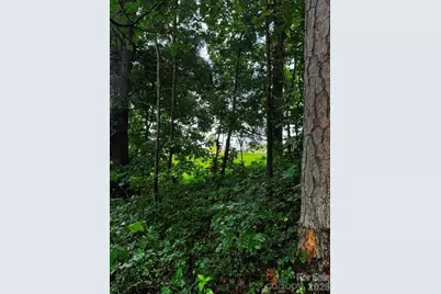 00000 Monticello Road, Weaverville, NC 28787 - Photo 5