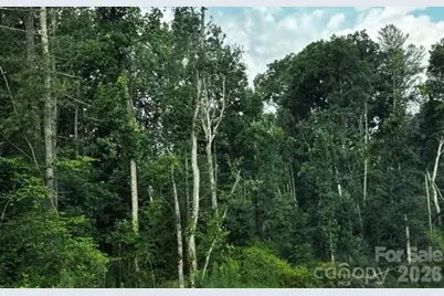 00000 Monticello Road, Weaverville, NC 28787 - Photo 21