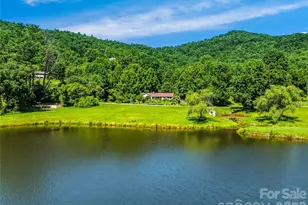 13 Ashley Rd, Asheville, NC 28805 - Photo 43