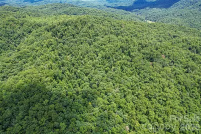 35 Lower Sand Branch Road, Black Mountain, NC 28711 - Photo 13