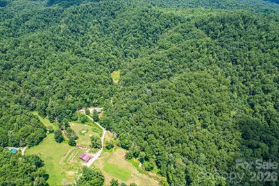 35 Lower Sand Branch Road, Black Mountain, NC 28711 - Photo 7