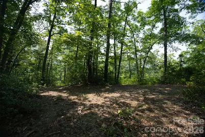 35 Lower Sand Branch Road, Black Mountain, NC 28711 - Photo 33