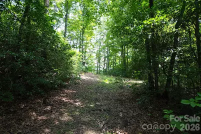35 Lower Sand Branch Road, Black Mountain, NC 28711 - Photo 41