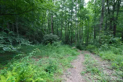 35 Lower Sand Branch Road, Black Mountain, NC 28711 - Photo 43