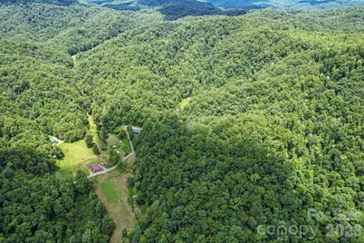 35 Lower Sand Branch Road, Black Mountain, NC 28711 - Photo 19