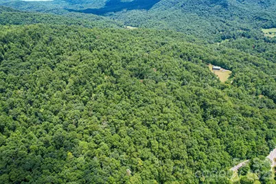 35 Lower Sand Branch Road, Black Mountain, NC 28711 - Photo 11