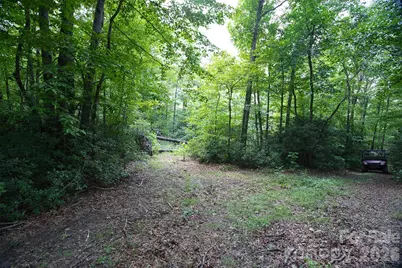 35 Lower Sand Branch Road, Black Mountain, NC 28711 - Photo 39