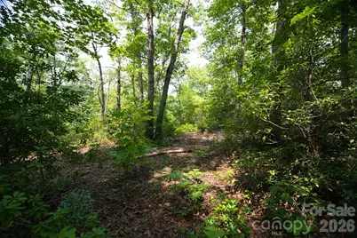 35 Lower Sand Branch Road, Black Mountain, NC 28711 - Photo 35
