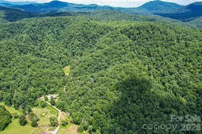 35 Lower Sand Branch Road, Black Mountain, NC 28711 - Photo 25