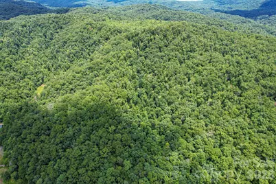 35 Lower Sand Branch Road, Black Mountain, NC 28711 - Photo 15
