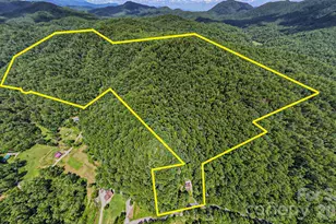 35 Lower Sand Branch Rd, Black Mountain, NC 28711 - Photo 1