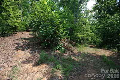 35 Lower Sand Branch Road, Black Mountain, NC 28711 - Photo 31