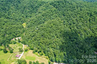 35 Lower Sand Branch Road, Black Mountain, NC 28711 - Photo 9