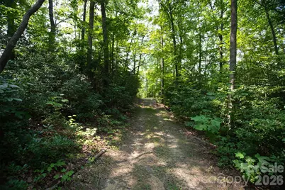 35 Lower Sand Branch Road, Black Mountain, NC 28711 - Photo 37
