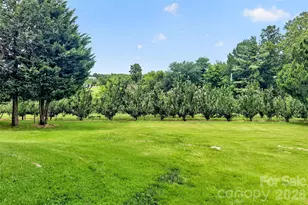 26 Sweet Briar Path Way, Hendersonville, NC 28792 - Photo 5