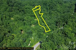 99999 Morgan Hill Rd, Black Mountain, NC 28711 - Photo 1