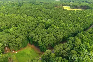 1083 Murdocksville Rd, West End, NC 27376 - Photo 43