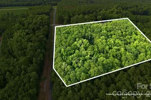 1083 Murdocksville Rd, West End, NC 27376 - Photo 47